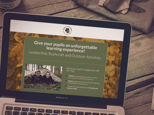 Landing Page Design – Taught in the Wood